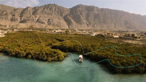 Top Attractions to Experience in Ras Al Khaimah - Visit Ras Al Khaimah