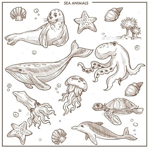 Cute Ocean Animals Drawings at Krystal Russell blog