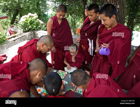 Tibetan monks playing with a puzzle. Tsechokling monastery. McLeod Ganj ...