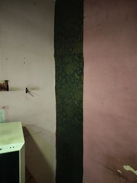 TEKCOOL Peel and Stick Wallpaper 17.7” x 118” Green Contact Paper Gold ...