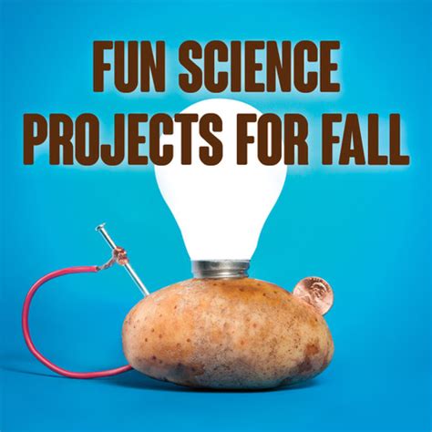 Fun Science Projects 的图像结果