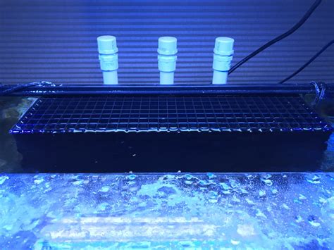 Image result for Reef Overflow Box