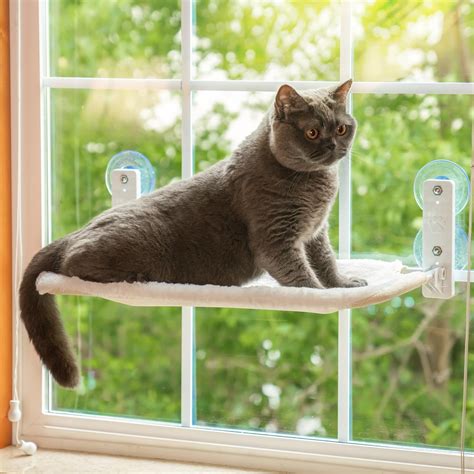 Cat Window Perch Hammock - Foldable Bed With 3D Paw Print Cover ...