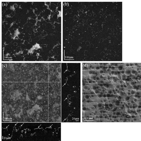 CMP Fold Map 的图像结果