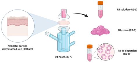 Fluorescence-Coupled Techniques for Determining Rose Bengal in ...