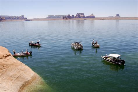 Angling Secrets: How and Where to Catch Fish on Lake Powell | Visit Utah