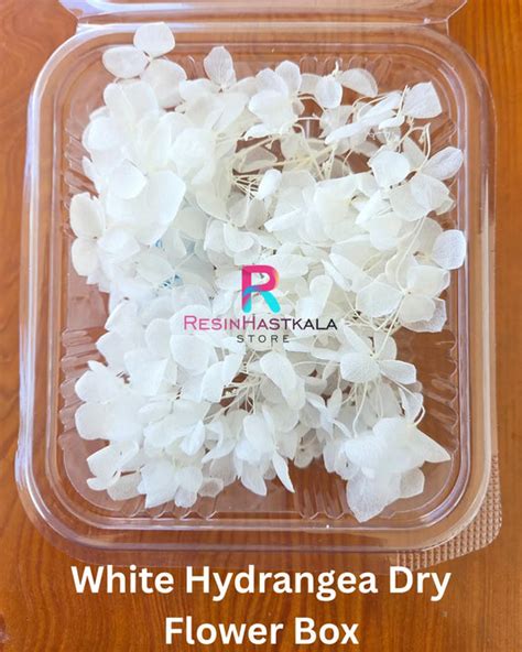 Hydrangea Flower Box – Resinhastkala Store