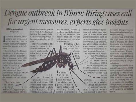 Dengue outbreak in Bengaluru :Experts give insights - Motherhood ...
