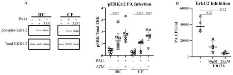 Azithromycin Augments Bacterial Uptake and Anti-Inflammatory Macrophage ...