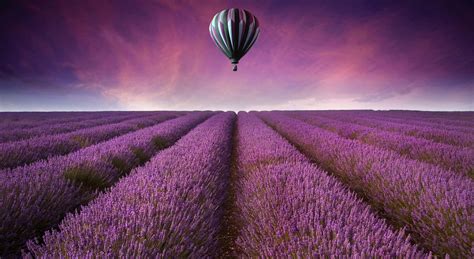 [200+] Hot Air Balloon Wallpapers | Wallpapers.com