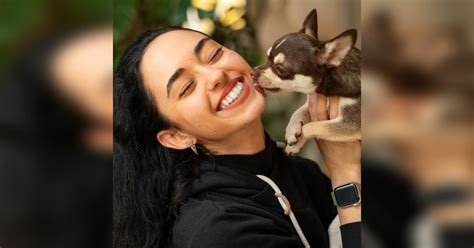 Discover The Best Brands & Recommendations For For Pets | LBB