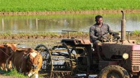 किसानों के लिए राहत, NCR में डीजल के 10 साल पुराने कृषि वाहनों को साल ...