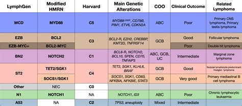 Genetic Profiling in Diffuse Large B-Cell Lymphoma: The Promise and the Challenge - Modern Pathology