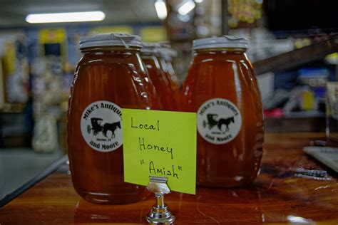The Difference In The Amish Dutch Languages - Amish of Ethridge