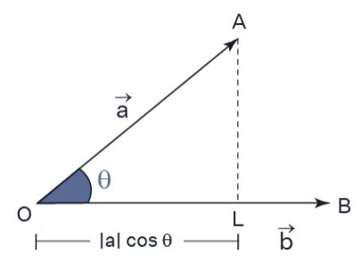 Image result for Vector Projection Applications