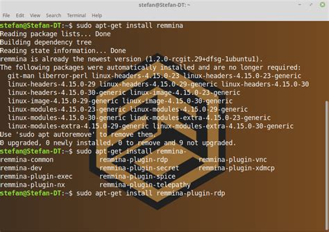 RDP Linux 的图像结果