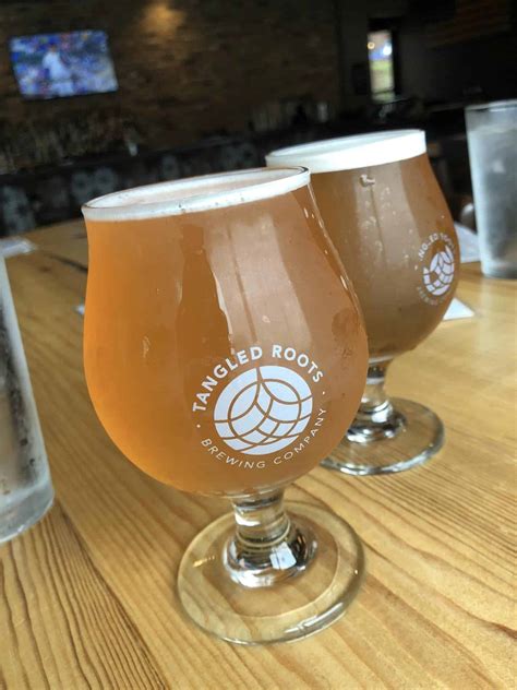 About Tails Humane Society - Dekalb IL