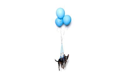 El Schwarzenegger, la almeja o el perro volador: los ejercicios de ...