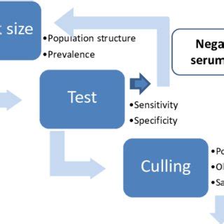 Image result for Step 1 One Model Examples