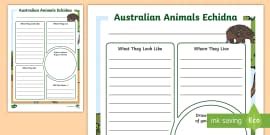Australian Animals Wombat Information Report Writing Template