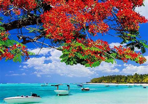 Maya Holidays, Pune, Best Tour and Travel Pune, Best Travel Agent Pune ...