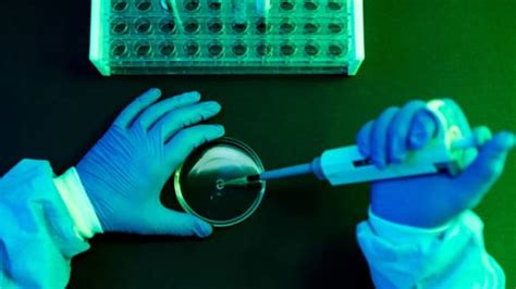 Synthetic Embryo: ప్రపంచంలోనే మొట్టమొదటి కృత్రిమ పిండం.. వీర్యంతో పని ...