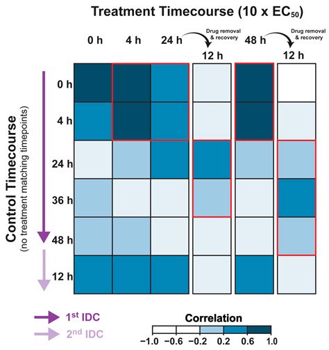 Cripowellins Pause Plasmodium falciparum Intraerythrocytic Development ...