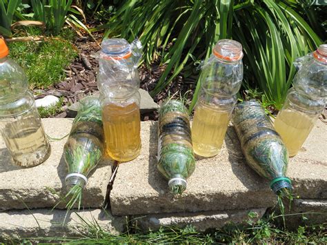 Image result for Filter Science Project