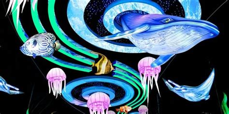 2024 GloWILD-The LARGER THAN LIGHT Lantern Festival, 1 Zoo Drive,Little ...