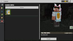 Image result for How to Equip Capes On Minecraft Java
