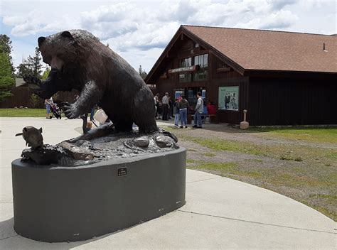 Grizzly & Wolf Discovery Center - Go Wandering