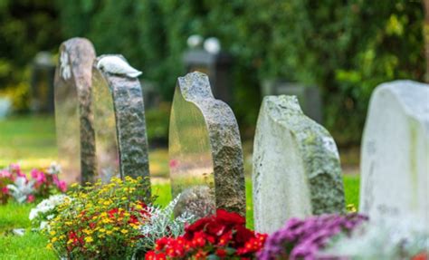 Higgins Funeral Home - Fayetteville Obituaries & Services In Fayetteville,