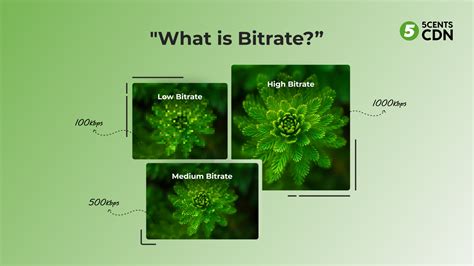 Image result for Understanding Bitrate