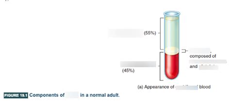Image result for Normal Values of Blood Components