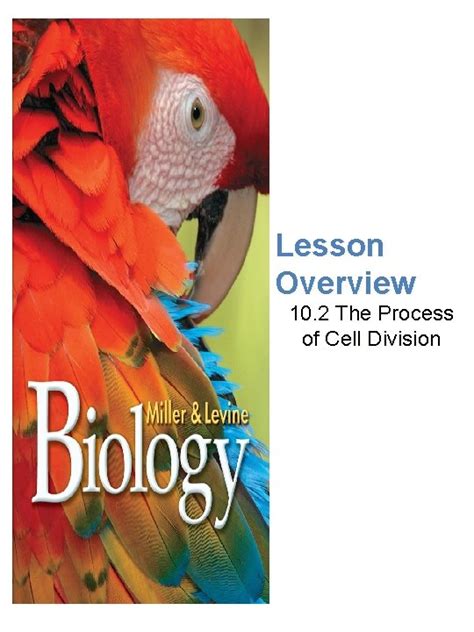 Free Lesson Biology Cell Divison 的图像结果