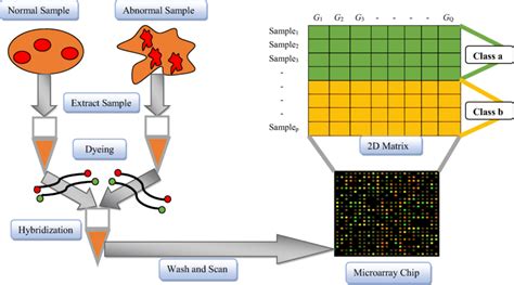 Microarray Data 的图像结果