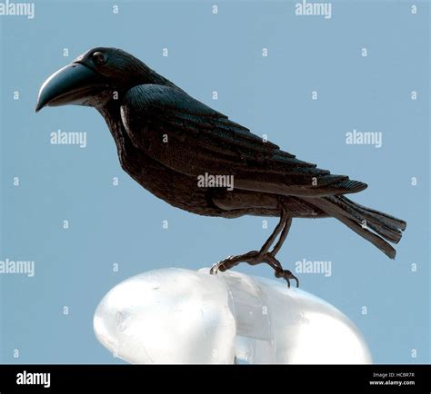 Corpse Bride 2005 vs Book of Life 的图像结果