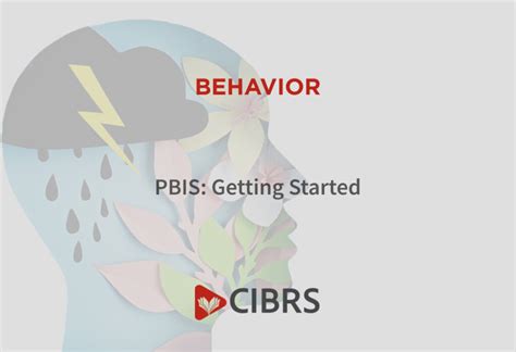 Image result for PBIS Behavior Triangle