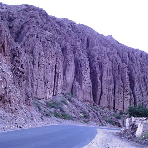 LA CASA DE LOS LOROS (2025) All You Need to Know BEFORE You Go (with ...