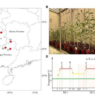 Local Plant Source 的图像结果