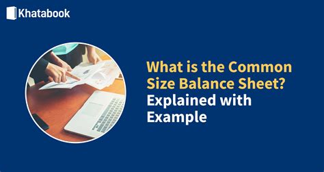 Learn About Common Size Balance Sheet & Its Format, Analysis With Example