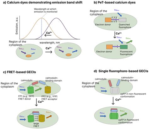 Noise Sources and Strategies for Signal Quality Improvement in ...