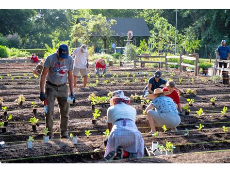 Fort Worth Botanic Garden sews seed for new community garden - CultureMap Fort Worth
