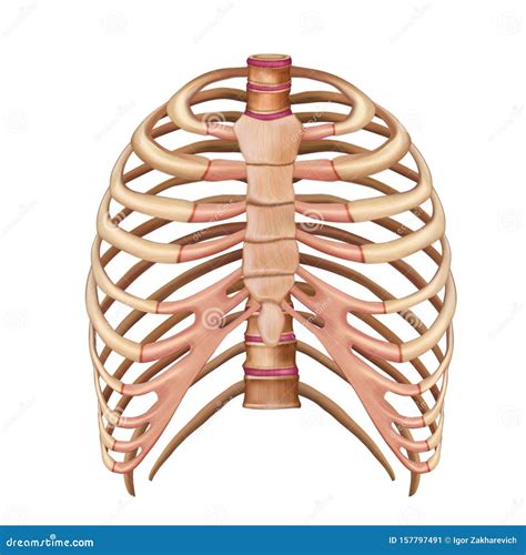 Bold Chest Tattoos: Words for Men to Inspire - CGS Connect