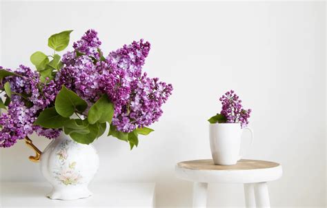 Wallpaper flowers, bouquet, mug, vase, lilac for mobile and desktop ...