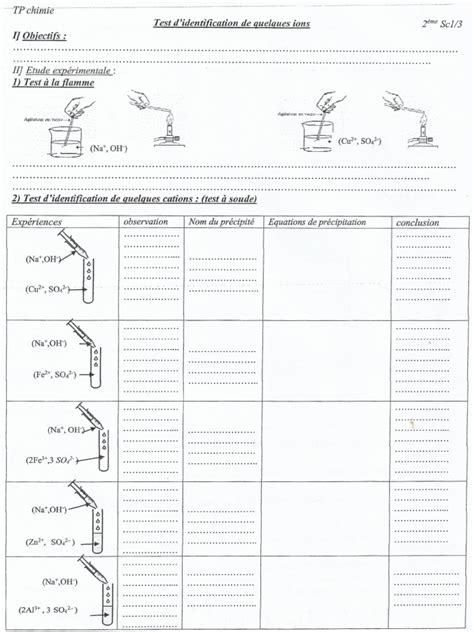 Image result for Identification Sample Test Format