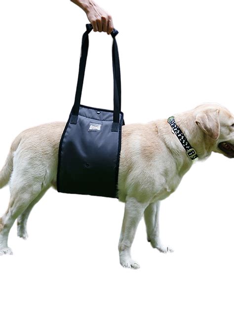 Gostoto Pet Supply Pet Lifts Vest Leg Auxiliary Belt Walking Aids for Dog Leg Injuries - Walmart.com