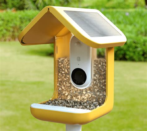 Bird Buddy Smart Bird Feeder Identifies Your Bird Friends Using AI
