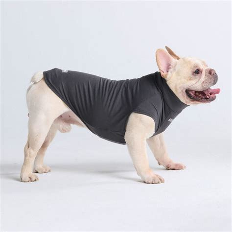 Sunblock Dog T-Shirts – SPARK PAWS