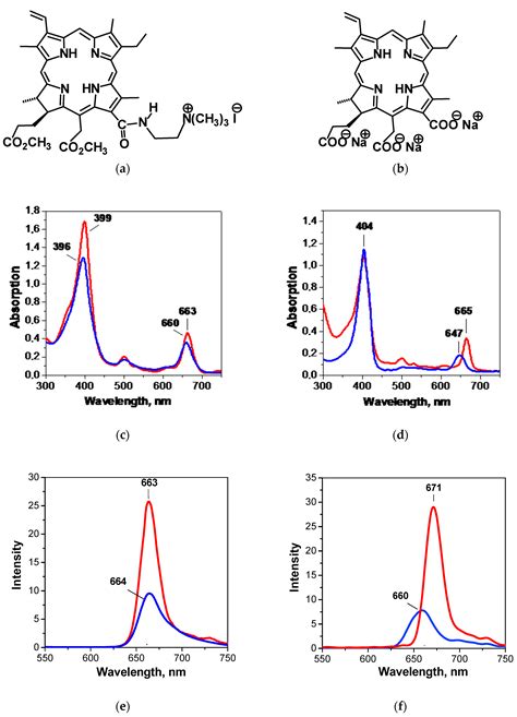Monocationic Chlorin as a Promising Photosensitizer for Antitumor and ...